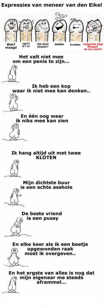 Expressies van Meneer Van Den Eikel